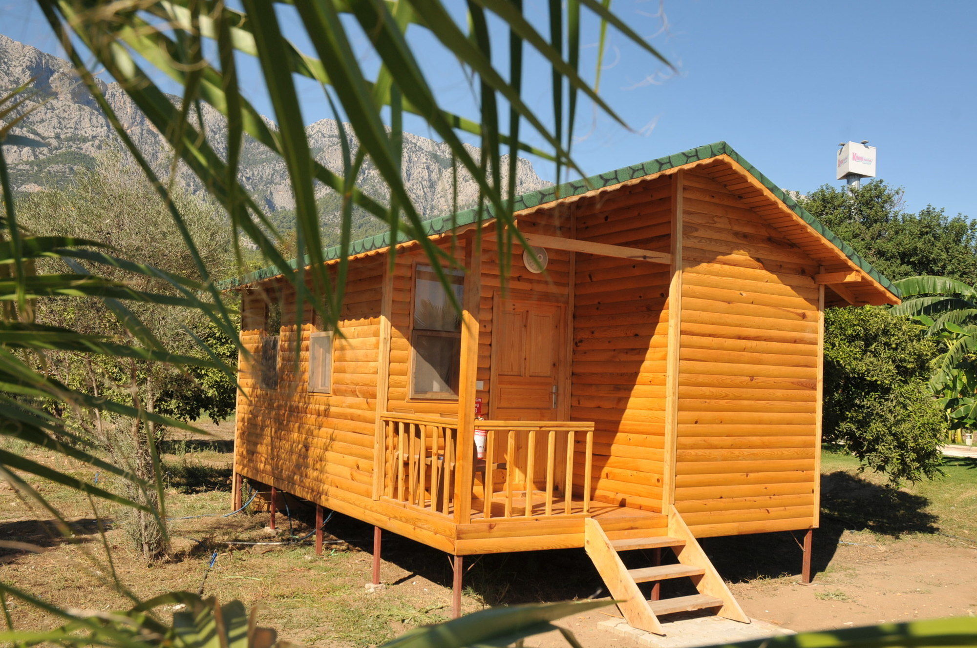 Elamir Resort Hotel Kemer Exterior photo